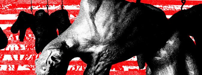 Filmfest Dresden: Fully Political